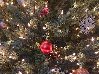 73660CrReLeUsm - Christmas tree ornaments at Emmanuel   Each New Day A Miracle  [  Understanding the Bible   |   Poetry   |   Story  ]- by Pete Rhebergen